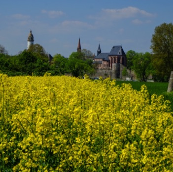 Blick zum Höchster Schloss 1